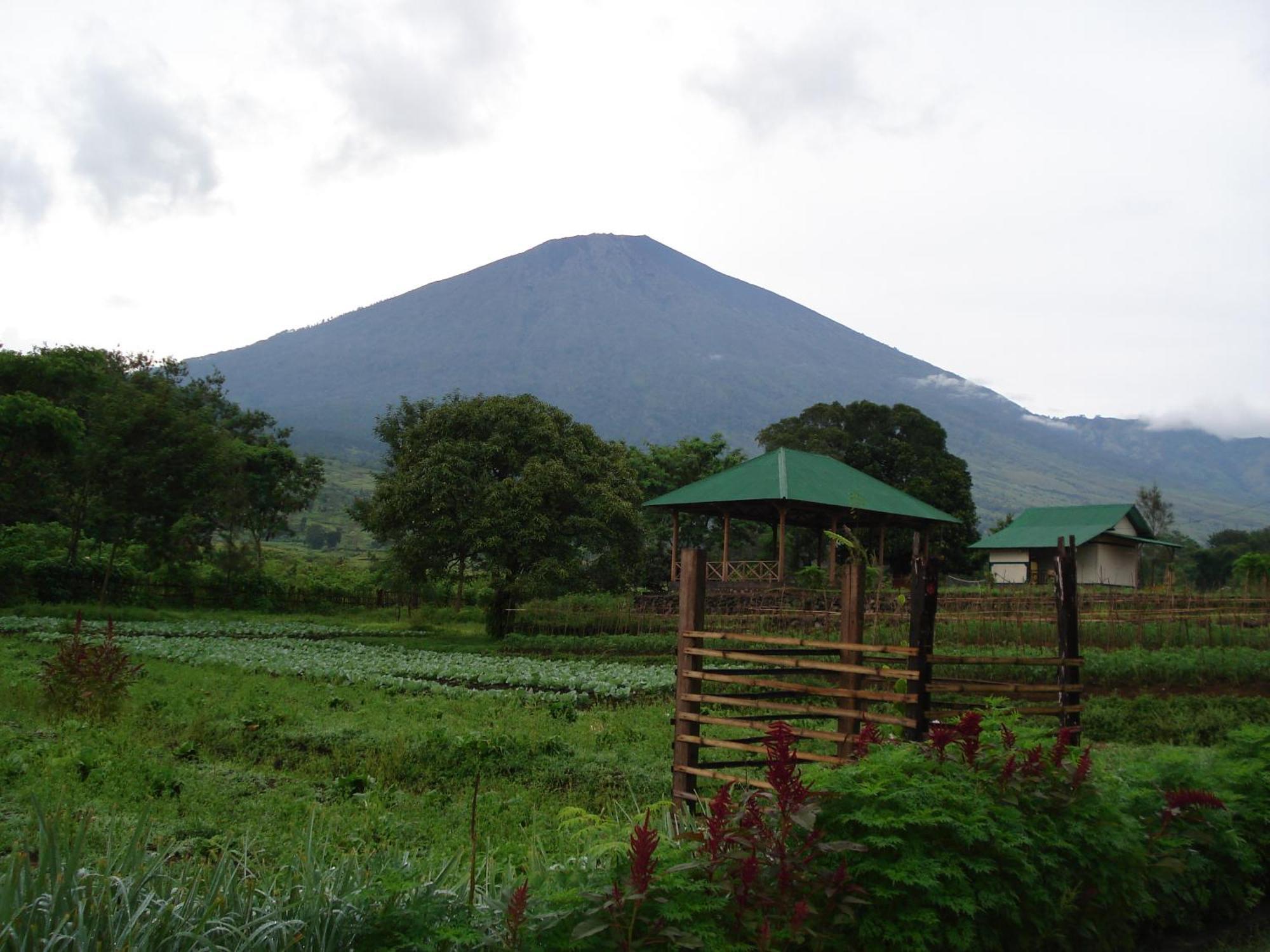 Lembah Rinjani Villa & Resto Syariah By Ecommerceloka Sembalunlawang Exterior foto